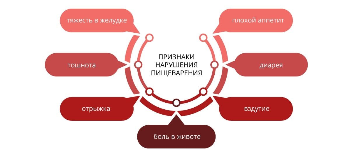 Заболевания системы пищеварения у спортсменов презентация